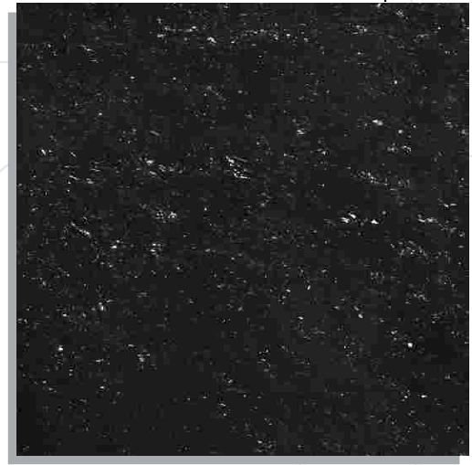 Empire Black Designer Porcelain Floor Tiles