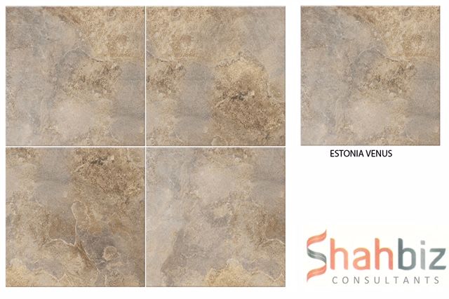 Estonia Venus Stone Punch Series Porcelain Floor Tiles