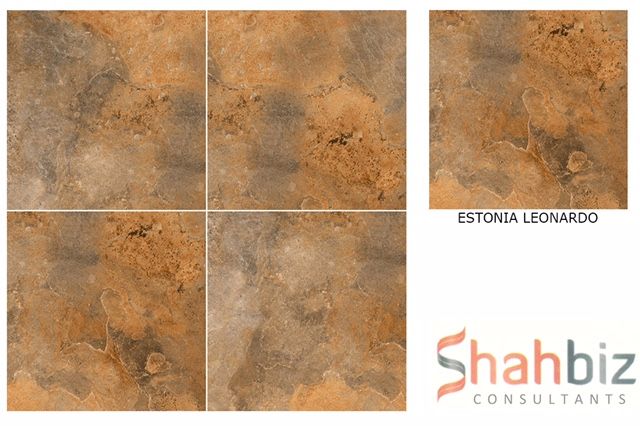 Festonia Leonardo Stone Punch Series Porcelain Floor Tiles