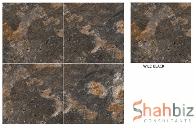 Wild Black Stone Punch Series Porcelain Floor Tiles