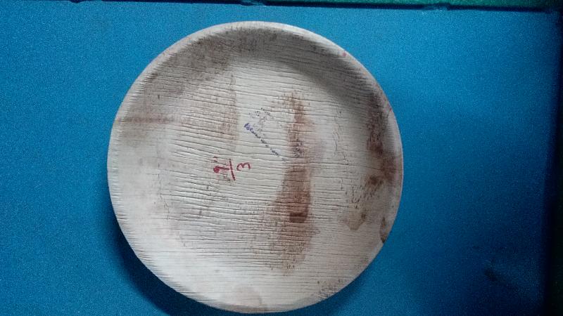 Export 9 inch Round Plate