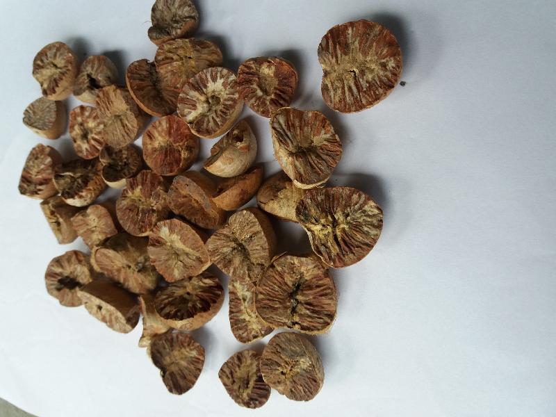 Betel Nuts 01