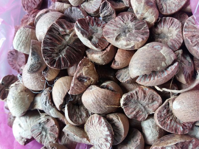 Betel Nuts 02