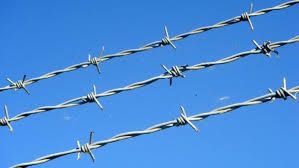 Barbed Wire 02