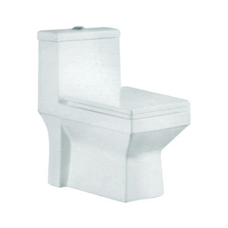 GS-1101 Floor Mounted Toilet