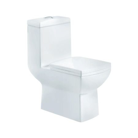 GS-1108 Floor Mounted Toilet