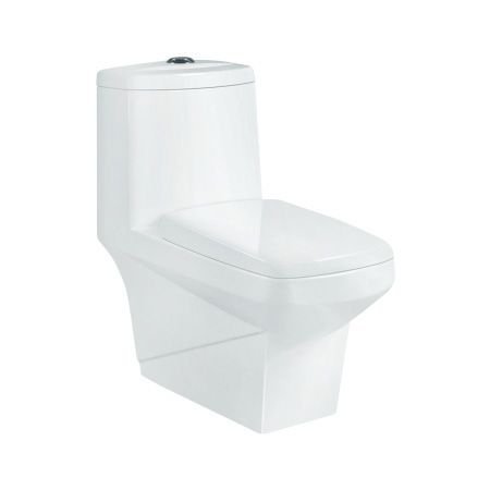 GS-1113 Floor Mounted Toilet