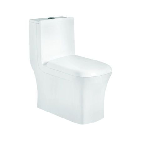 GS-1116 Floor Mounted Toilet