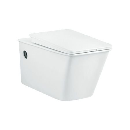 GS-1209 Wall Hung Toilet