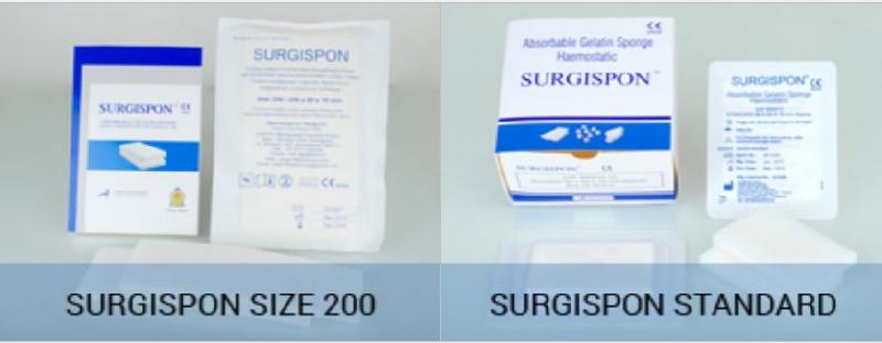 Absorbable Hemostatic Gelatin Sponge 05