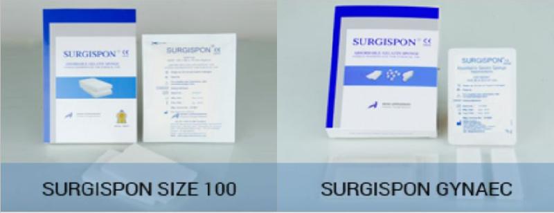 Absorbable Hemostatic Gelatin Sponge 06