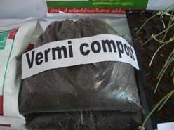 Vermicompost Fertilizer 04