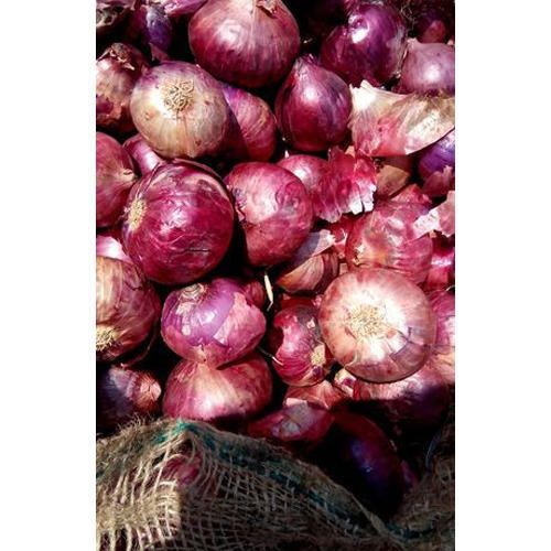 Fresh Onion 03
