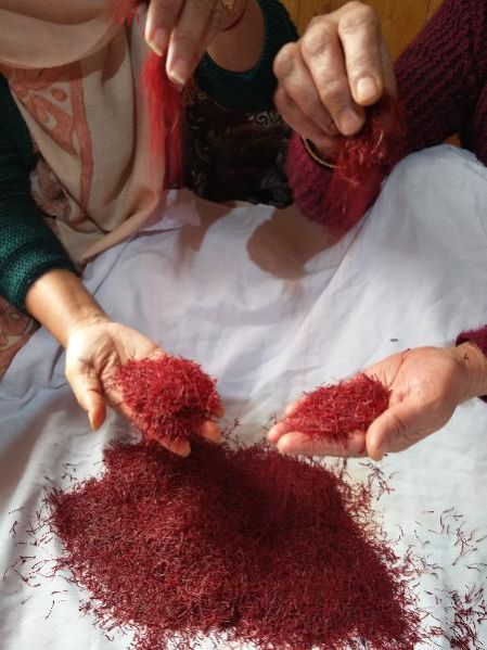 Kashmiri Saffron 01