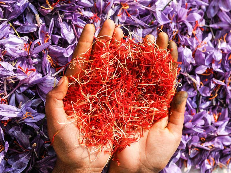 Kashmiri Saffron 02
