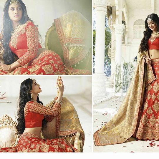 Bridal Lehenga Choli 01