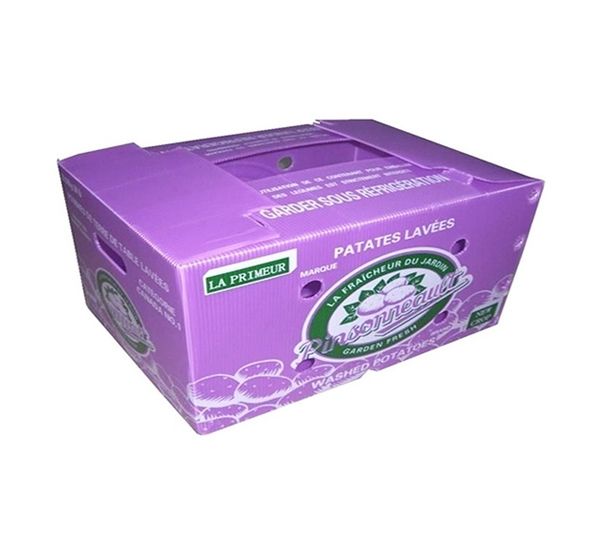 Food Grade Plastic Box