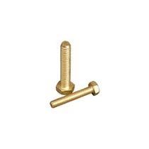 Brass Bolt 01