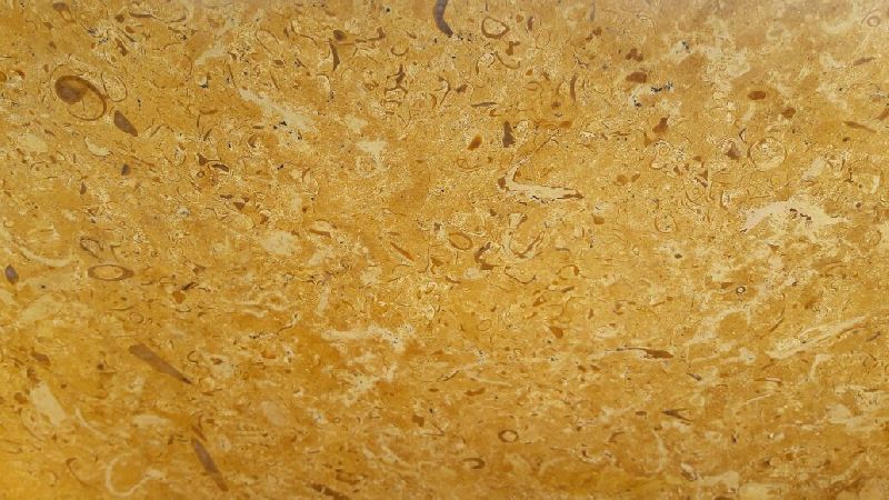 Jaisalmer Yellow Marble - Fossil