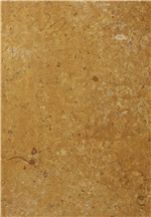 Jaisalmer Yellow Marble - Fossil