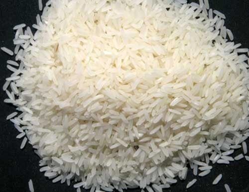 J. R. 64 Rice