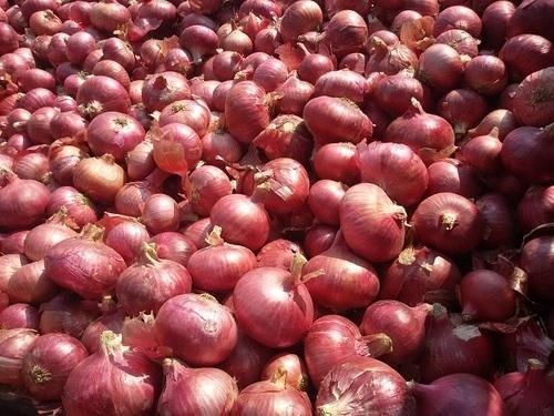Fresh Red Onion 01