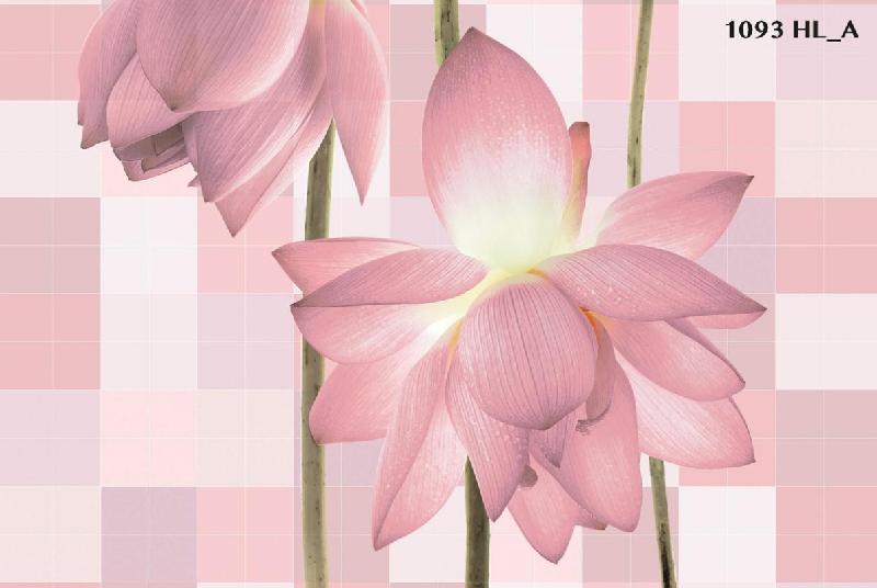 300 X 450 MM Digital Wall Tiles (1093-HLA)