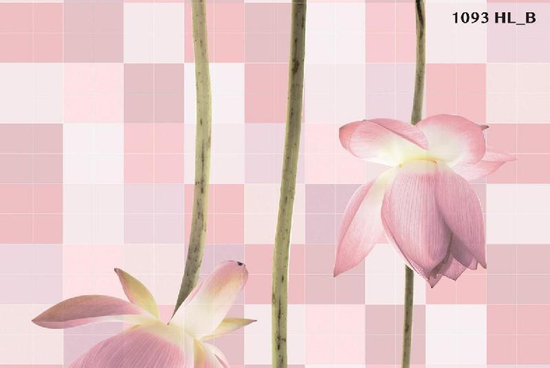 300 X 450 MM Digital Wall Tiles (1093-HLB)