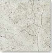 Digital Floor Tiles (S-1)