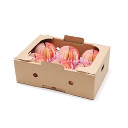 Corrugated Apple Box 02