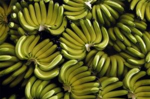 Fresh Green Banana 01