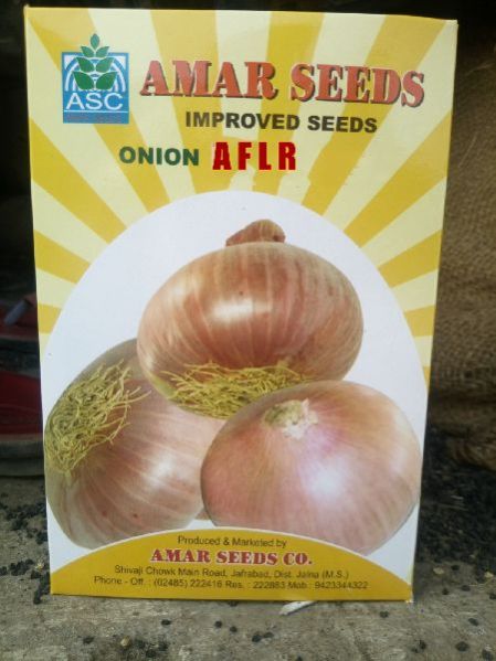 Onion Seeds 04