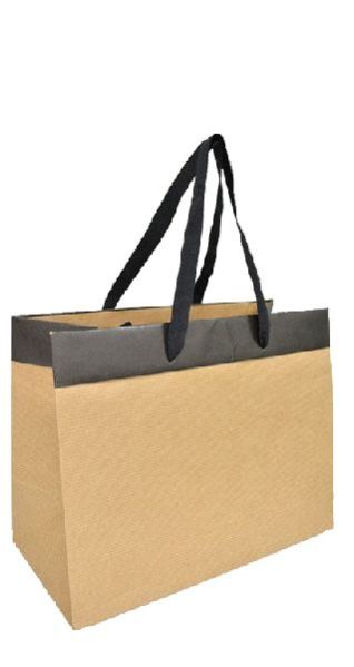 Brown Kraft Paper Bag 03