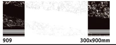 909 300X900 mm Step Riser Tiles