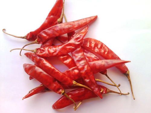 Dried Red Chilli 01
