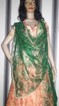 Designer Lehenga Choli 01