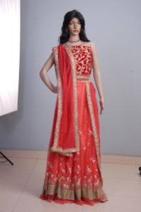 Designer Lehenga Choli 04