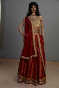 Designer Lehenga Choli 05