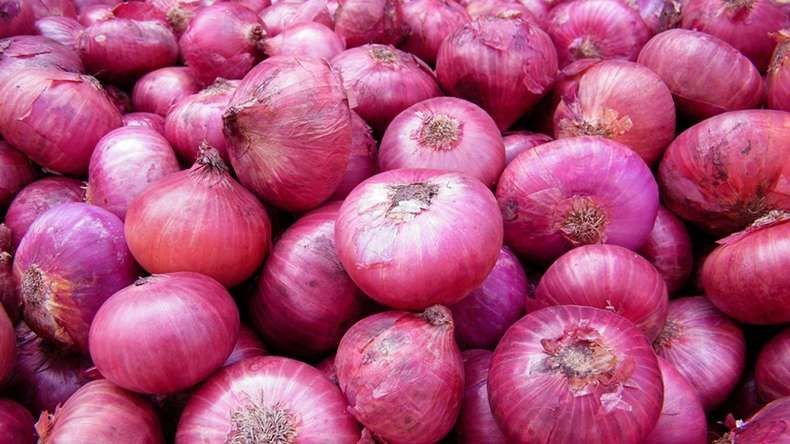 Fresh Red Onion 01