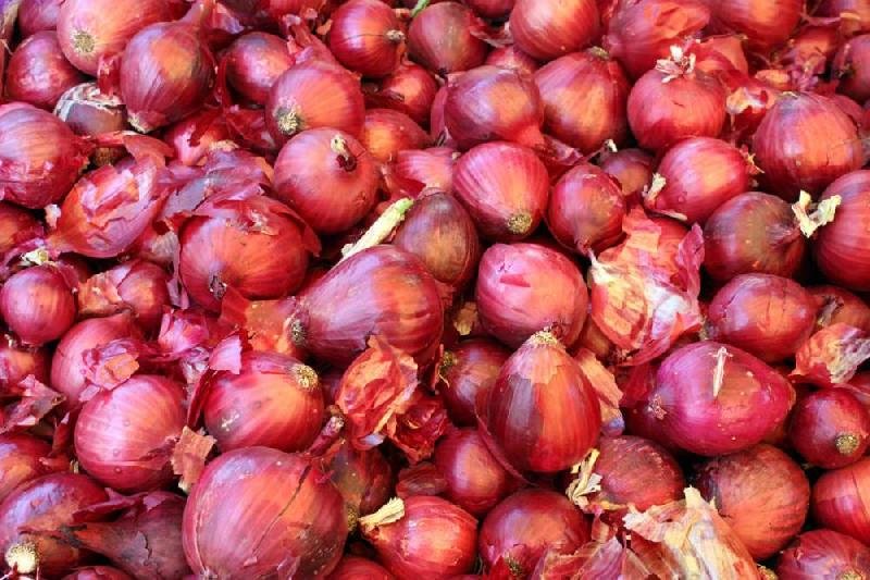 Fresh Red Onion 02