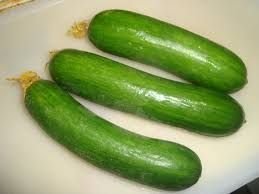 Fresh European Cucumber 02