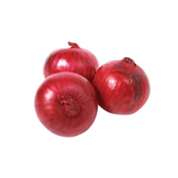 Fresh Red Onion 02