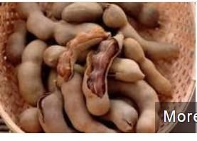 Tamarind Pods 02