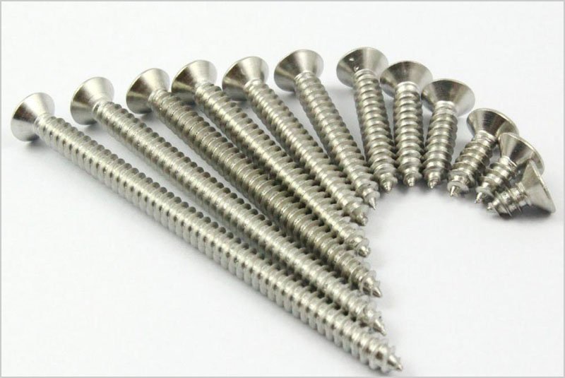 Self Tapping Screws 04