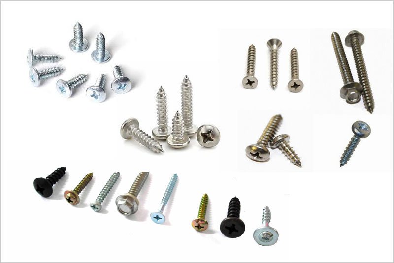 Self Tapping Screws 05