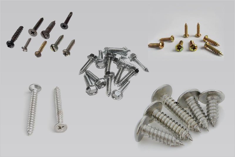 Self Tapping Screws 06