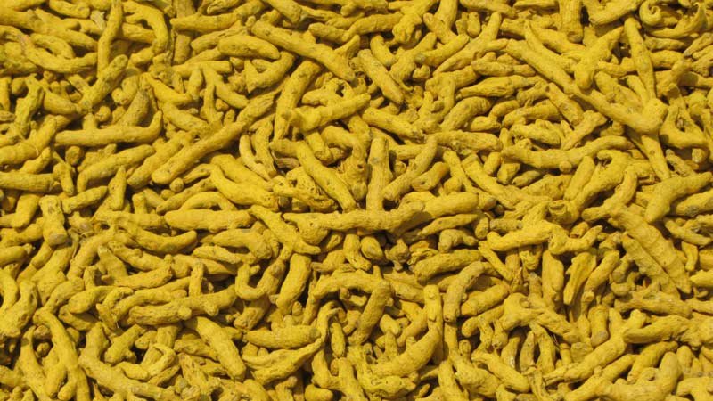 Turmeric Finger 01
