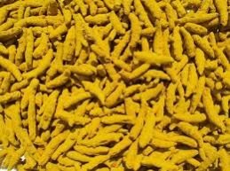 Turmeric Finger 03