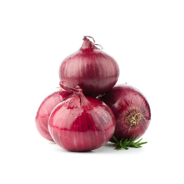 Fresh Red Onion 01