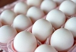 Poultry Eggs 02